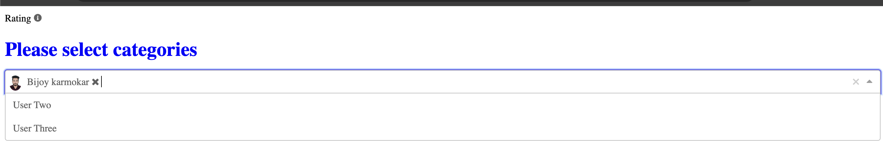 Vueform Slots Example
